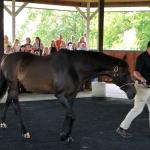 2019_OTRA_0571 (September 01, 2019)